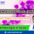 Acute Myeloid Leukemia Treatments